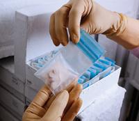 Gloved hands holding a small bag with a tissue sample.